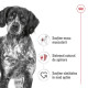 Royal Canin Medium Adult hrană umedă câine, pate, 410 g – nutriție completă pentru câini adulți de talie medie
